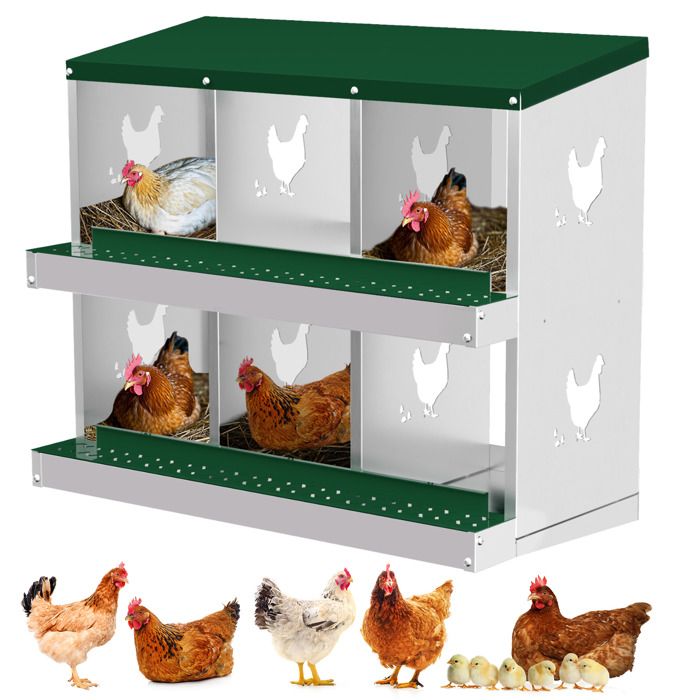 Pondoir Poules Pondeuses 6 Compartiments, Poulailler en Acier Galvanisé, Collecte des Œufs, Couvercle Amovible, Pratique,Vert(Vert/2 niveaux/Avec pied)