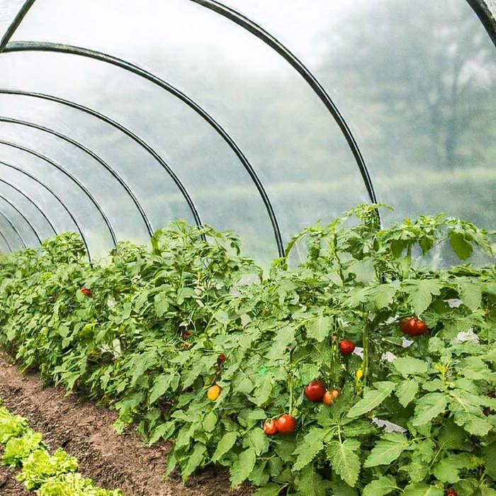TECPLAST Bâche Serre 3x14 m 150SE - Film plastique transparent pour serre de jardin - Haute Qualité - Made in France(1)